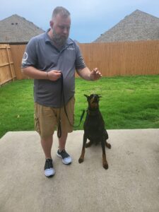 our former dog trainer Ricky training a dog