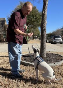 our dog trainer Dan training with Jenkins